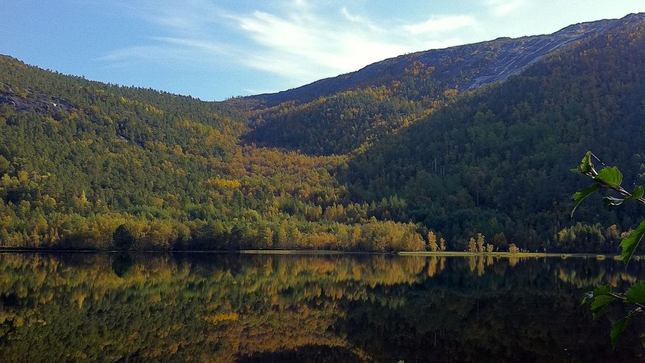 Tommerneset Camping Hotel Innhavet Buitenkant foto